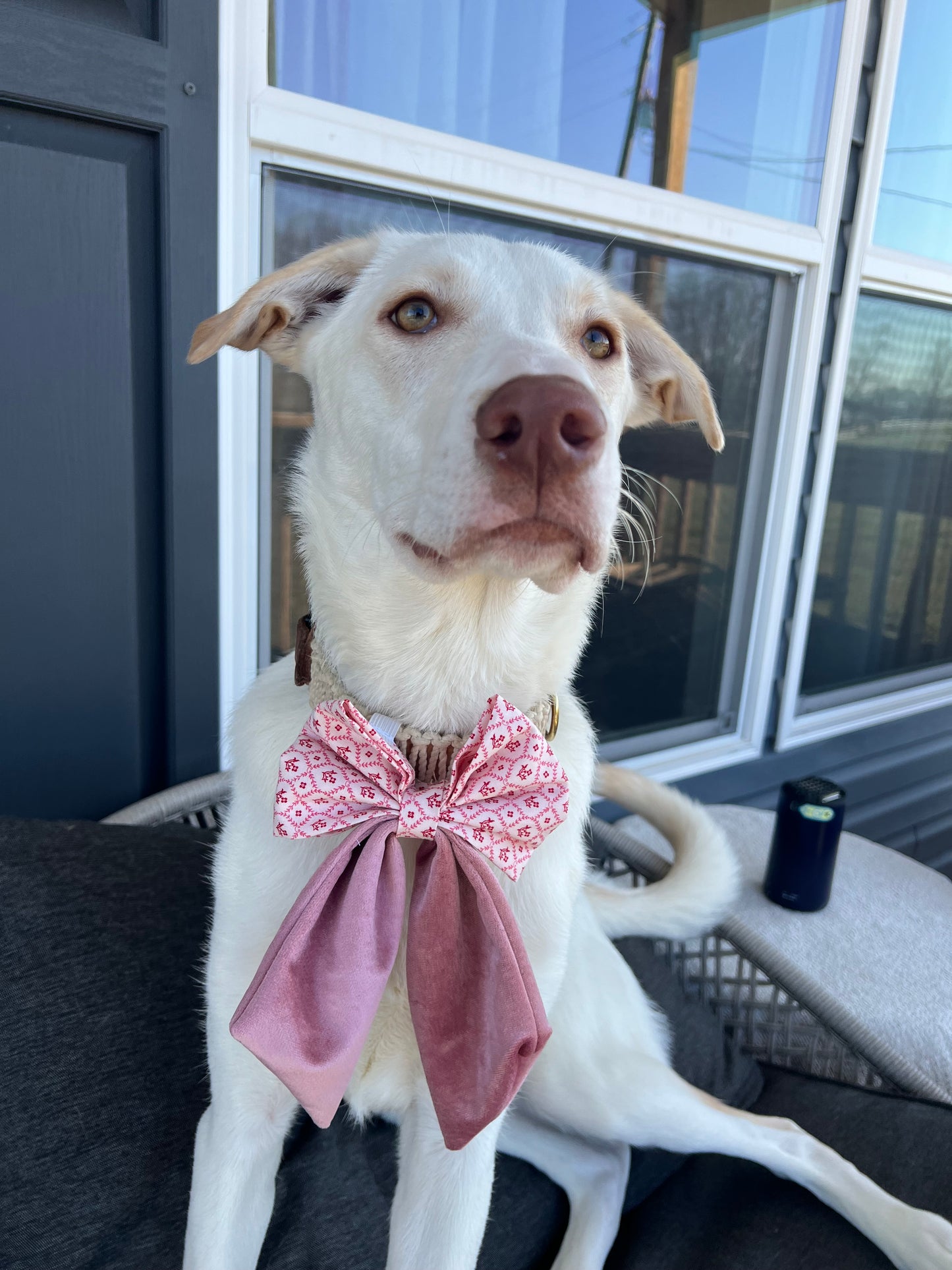 Cupid Sailor Bow & Bow Tie