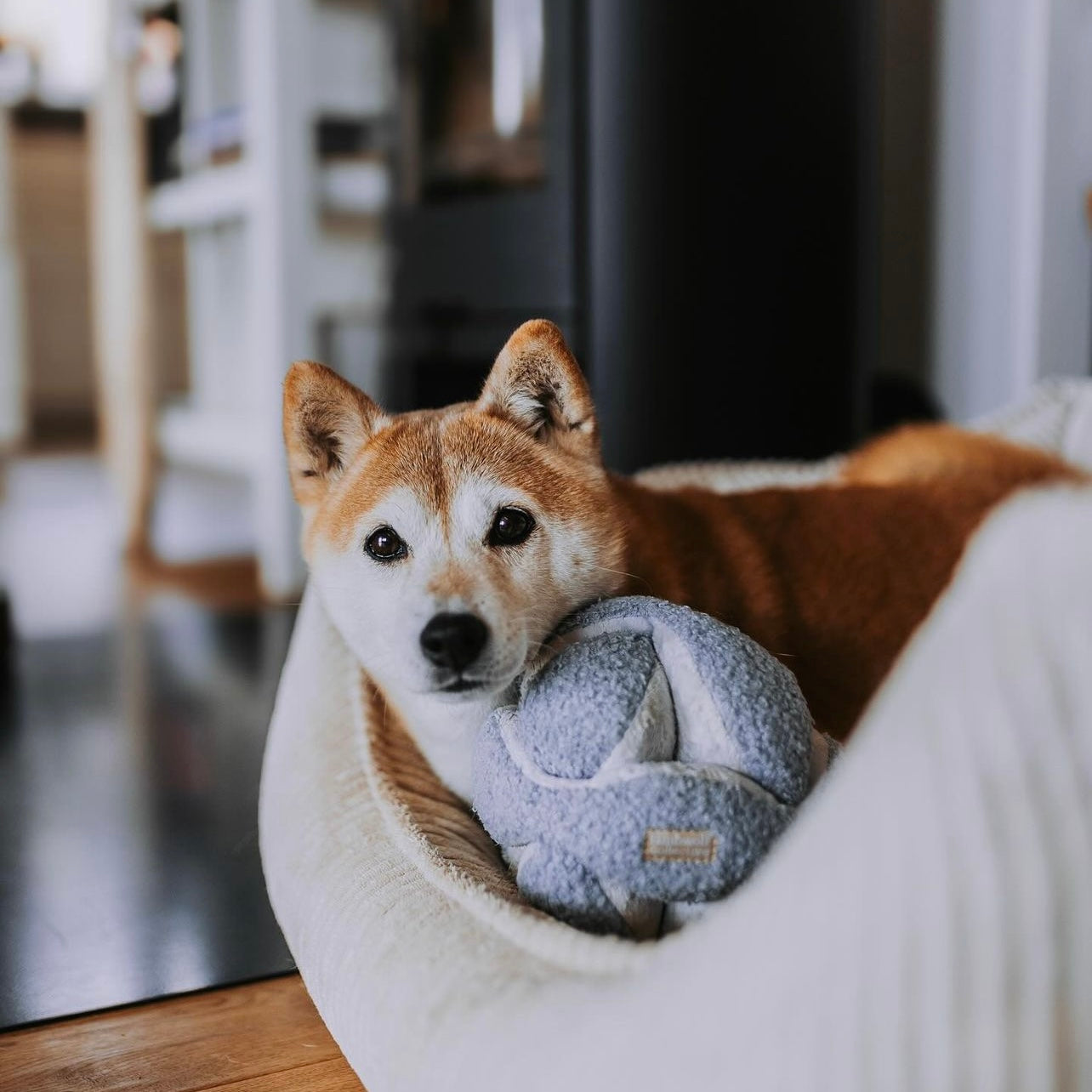 Monti | Enrichment Toy