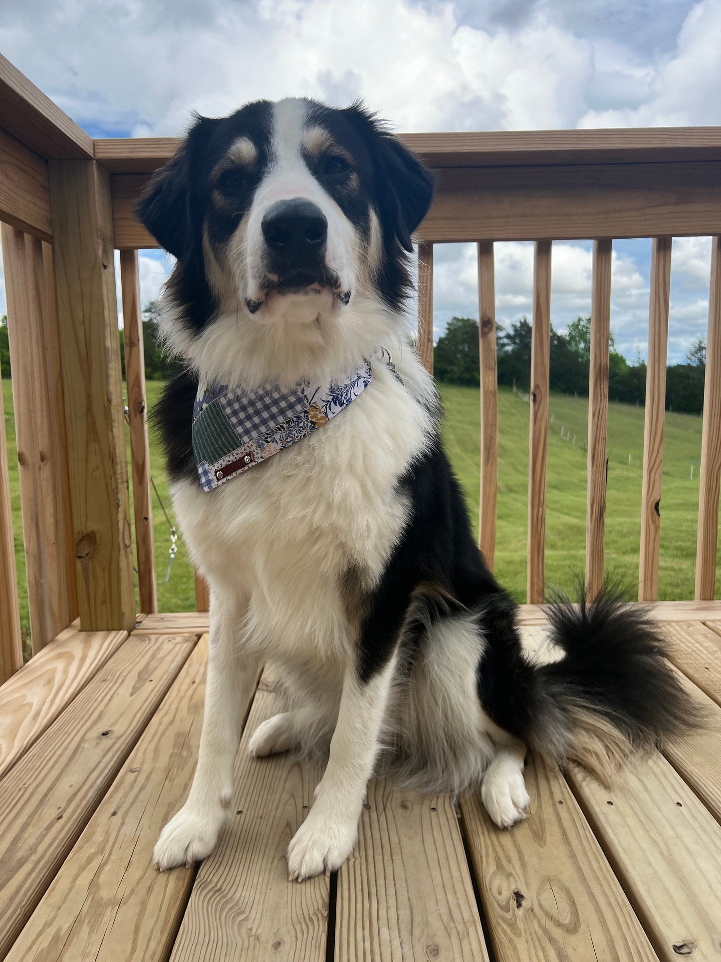 Floral Patchwork Over the Collar Pet Bandana | Dog Bandana | Flower Dog Bandana | Pink Dog Bandana | Spring Dog Bandana | Floral Dog Bandana