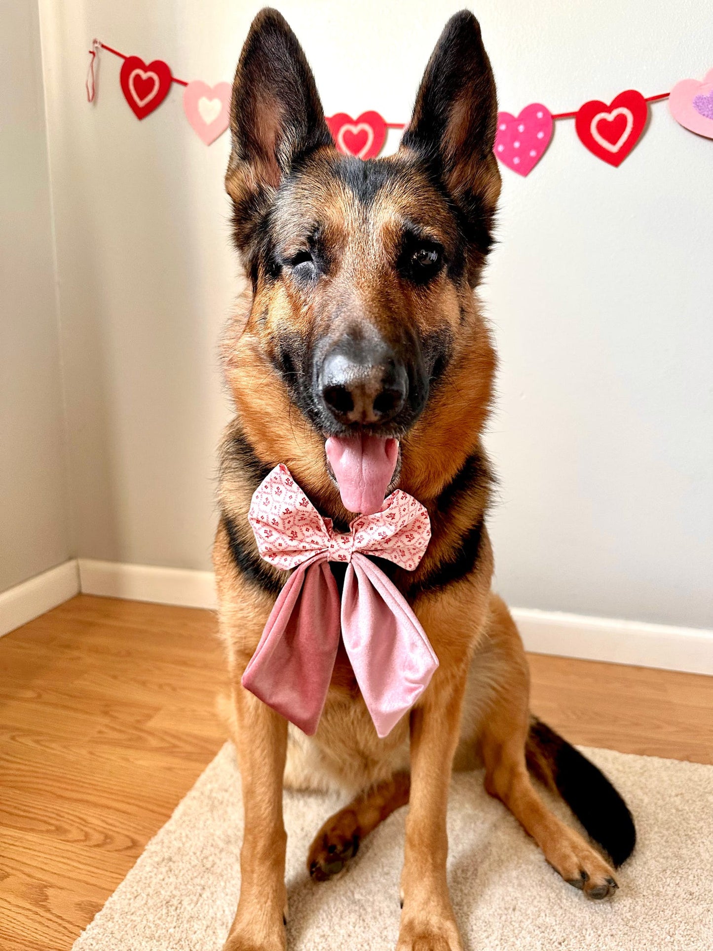 Cupid Sailor Bow & Bow Tie