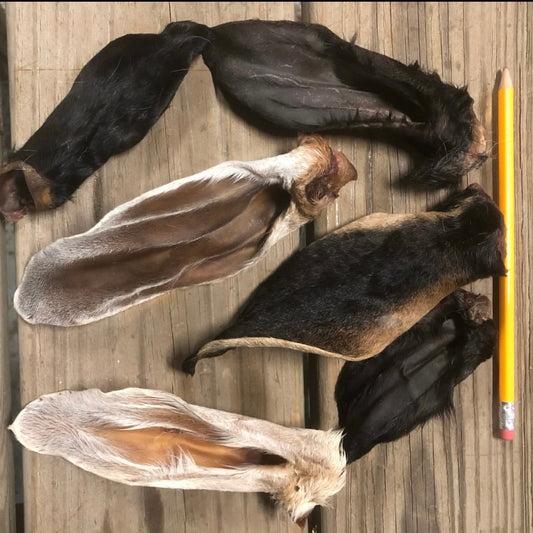 Goat Ears (2 pack)