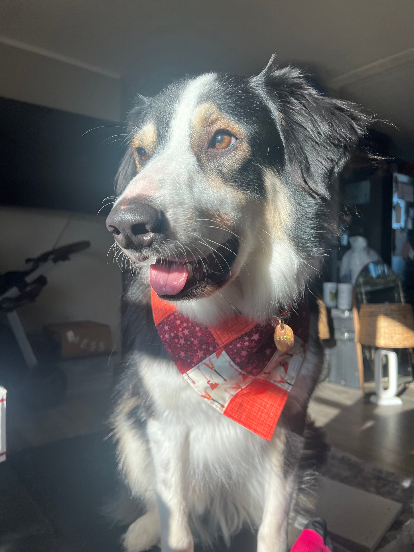 I Wanna Be a Rockstar