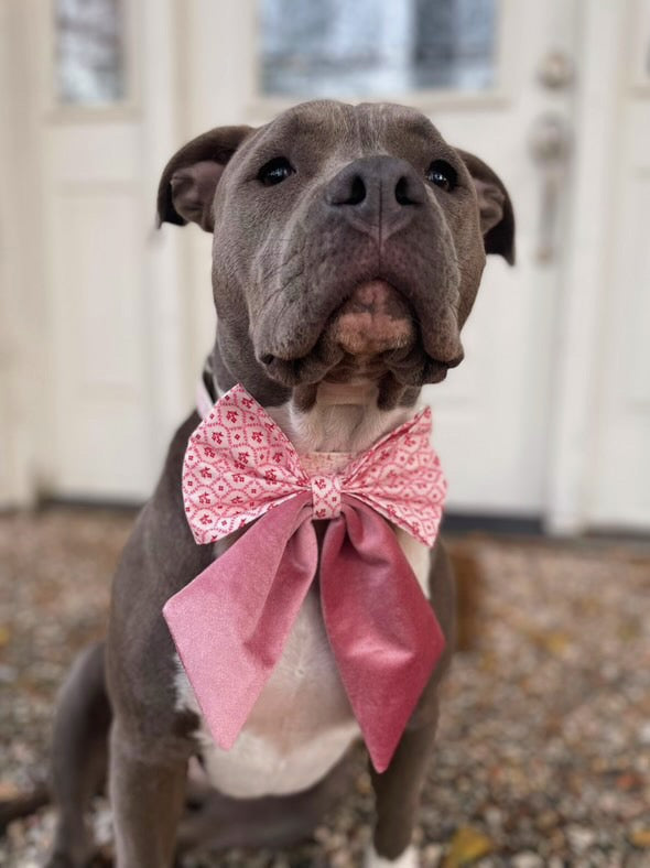 Cupid Sailor Bow & Bow Tie