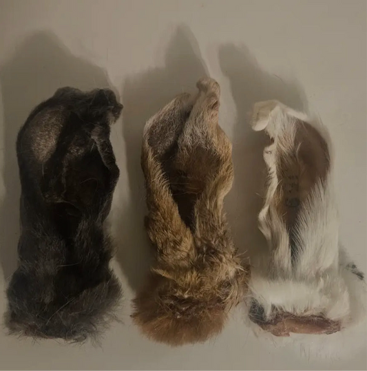 Rabbit Ears (3 pack)