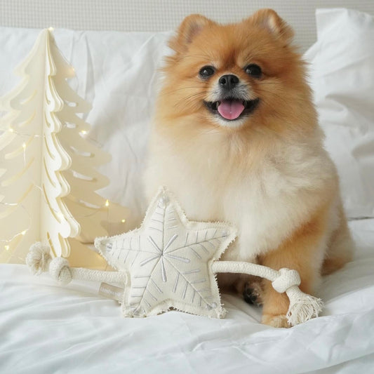 Holiday Star