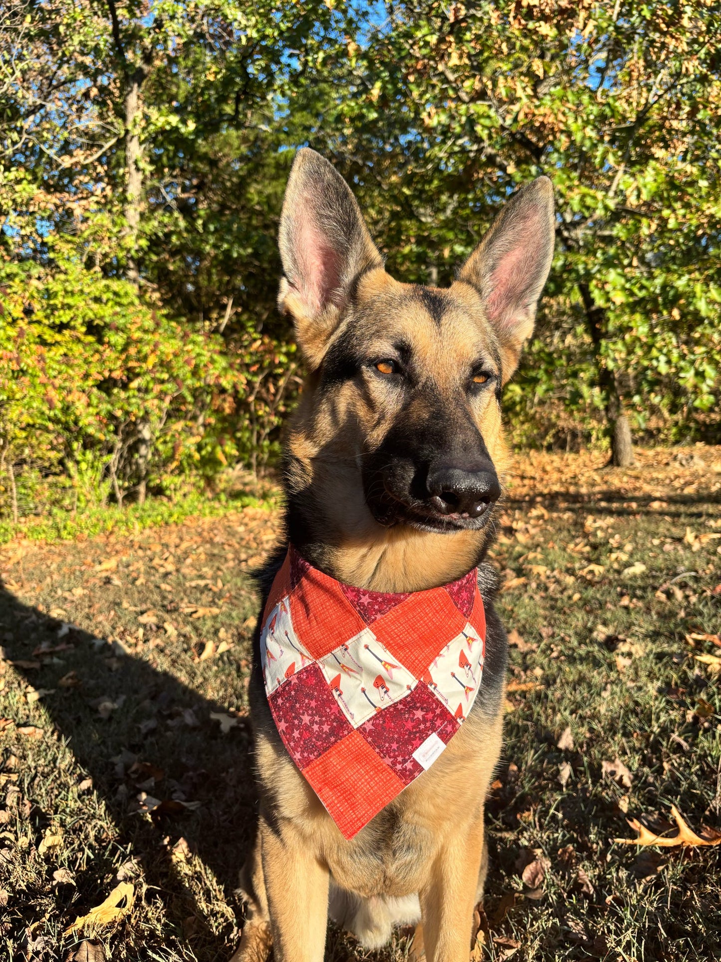 I Wanna Be a Rockstar